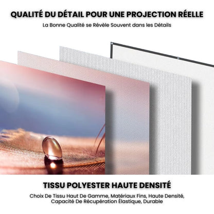 Écran de Projection Portable - Grand Angle 180° & Rendu Couleurs Haute Fidélité